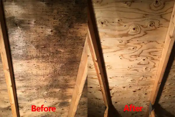water damage restoration service St. Johns